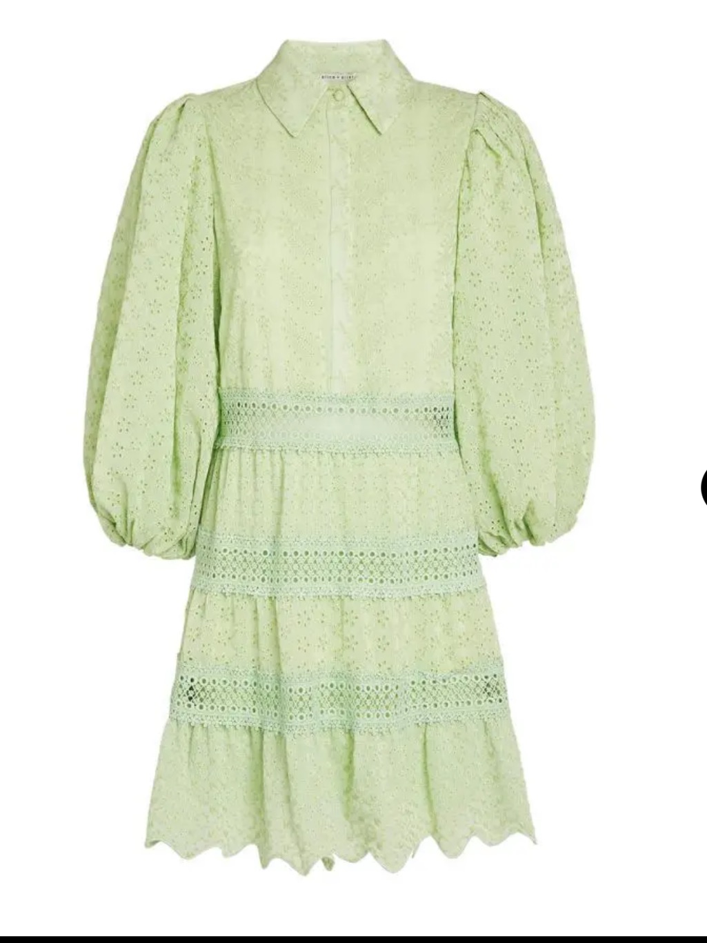 Alice + Olivia Blakesley Mini Shirt Dress